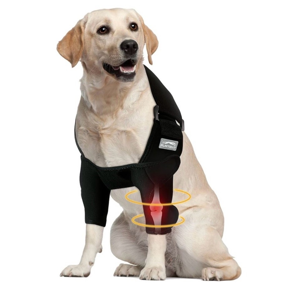 Dog Elbow Protector for Dysplasia, Shoulder Dislocation-Offers Elbow Support XL